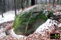 Findling 5 bei Haselberg nahe Wierzen in der Märkischen Schweiz, Brandenburg, (D) (5) 24. Januar 2016.JPG